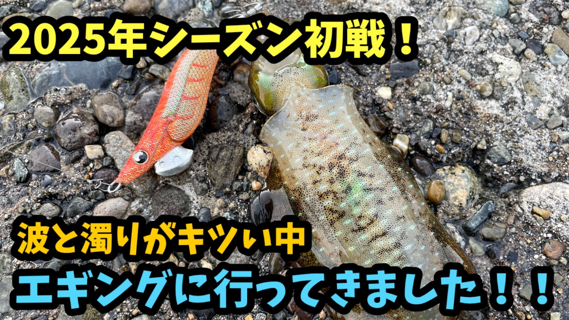 2025年新潟エギング釣行初戦の写真。