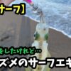 上越サーフでエギングした時の写真