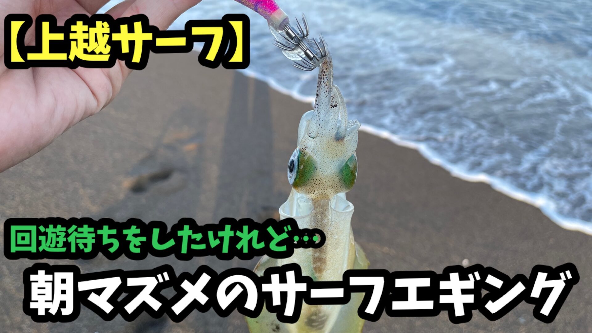 上越サーフでエギングした時の写真