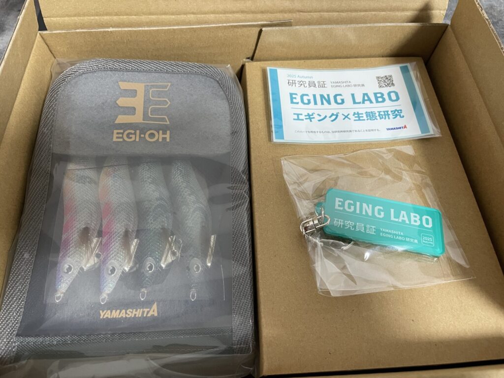 ヤマシタエギ王Kのポラマジカラーのエギの写真。